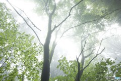 今日に感謝