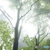 今日に感謝