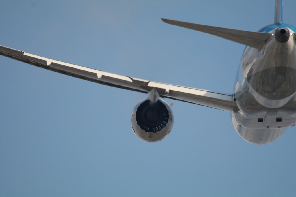 20170324074743_IMG_1428