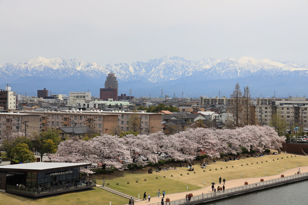 富岩運河環水公園　20240411