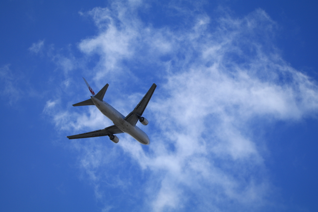 20170221125058_IMG_1089