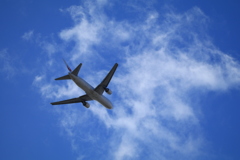 20170221125058_IMG_1089