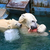 それも気になる！　20210715094300_5V0A6649