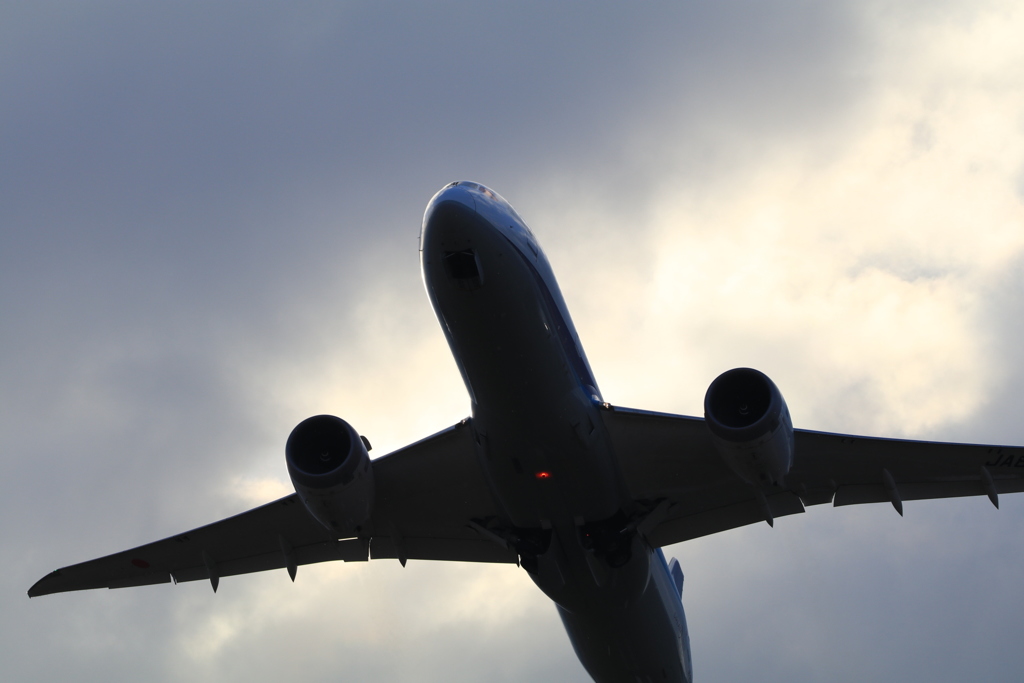 20170221080734_IMG_0907