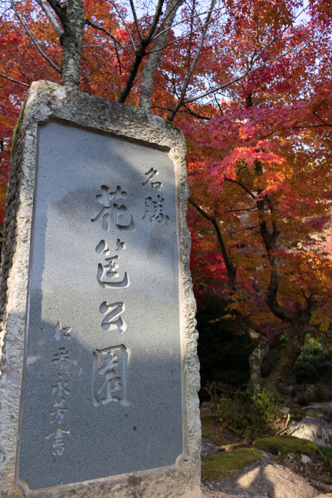 燃ゆる公園