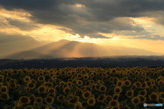 夕暮れの光芒