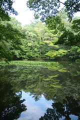 池に映る空