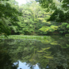 池に映る空