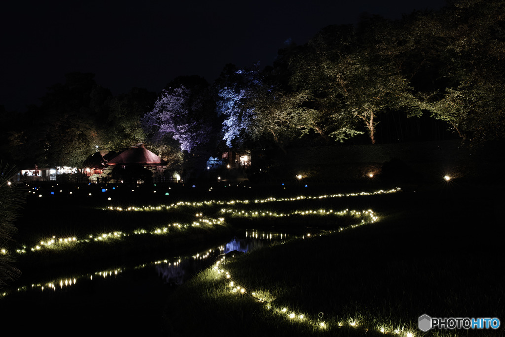 幻想庭園
