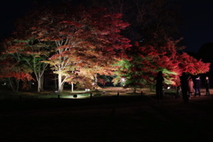 幻想庭園　2016　秋　②