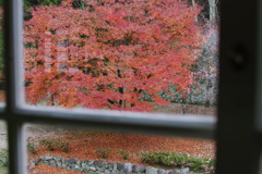 学び舎から見える紅葉