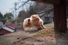 お手入れ中