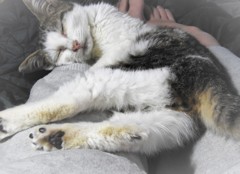 zzz・・・