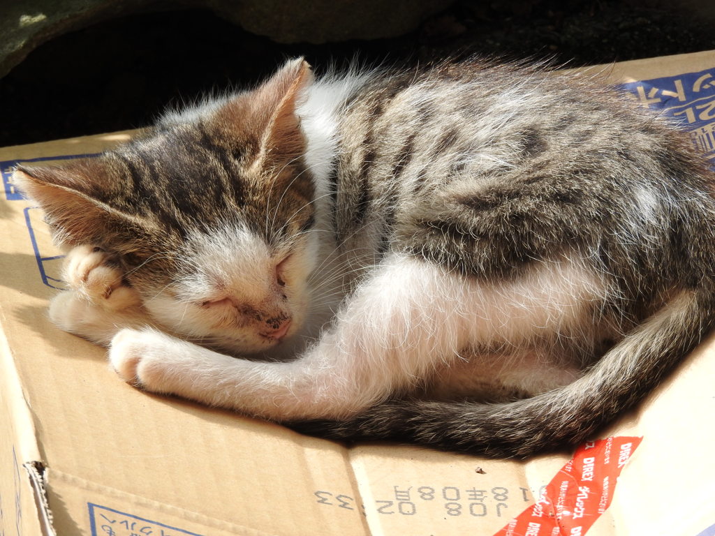 手枕で♡