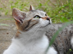 春の風を堪能