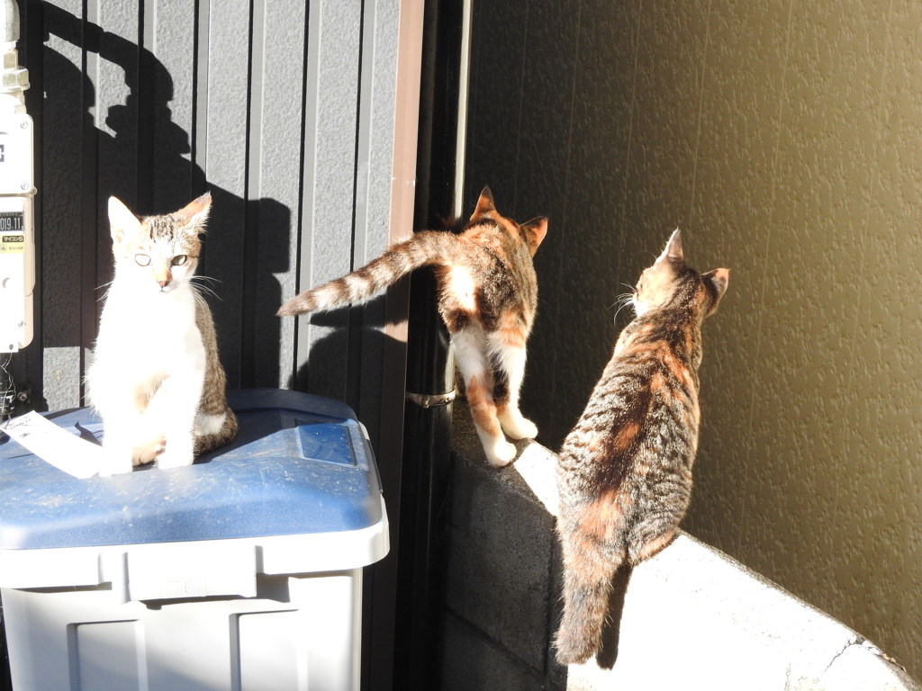 その先に何が？