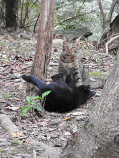 片手で、ねじ伏せる