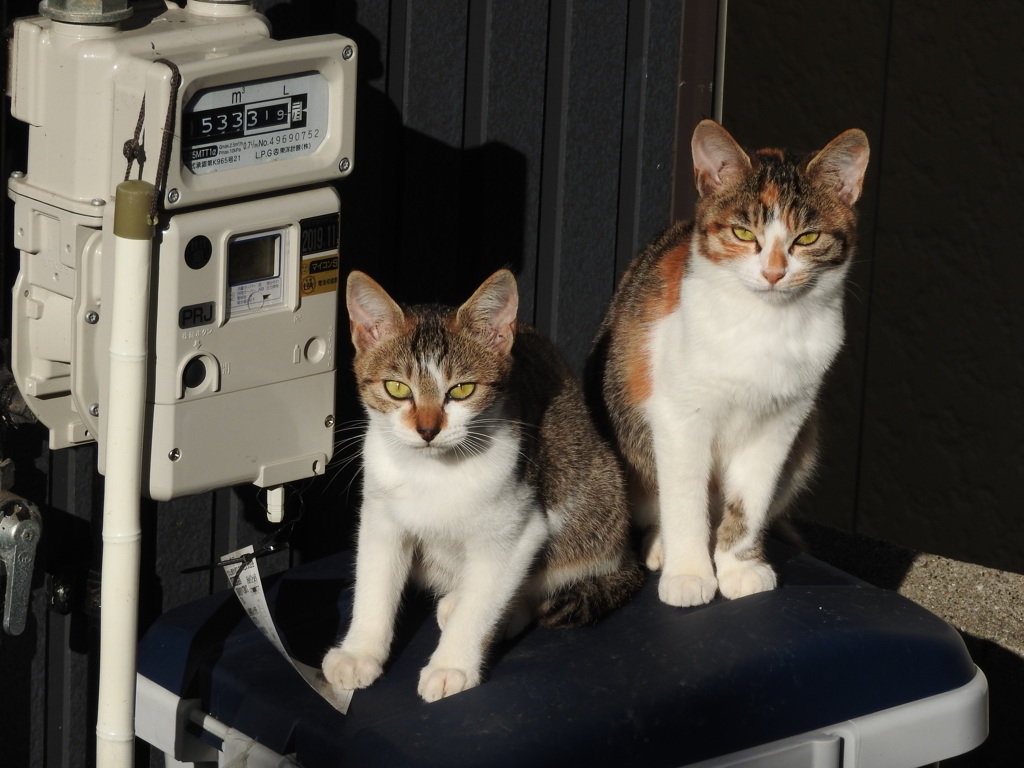 モーニングタイム