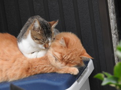 温まろう♡