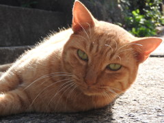 近づきすぎだよ
