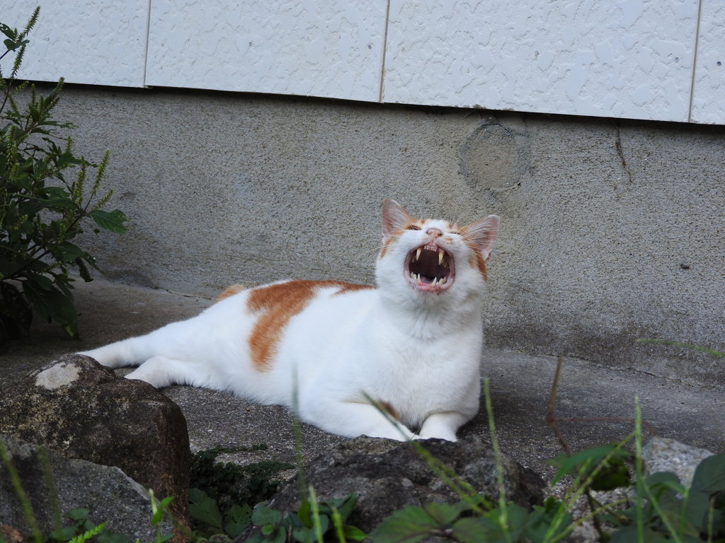 悪い子はいね～が～お仕置きすっぞ～