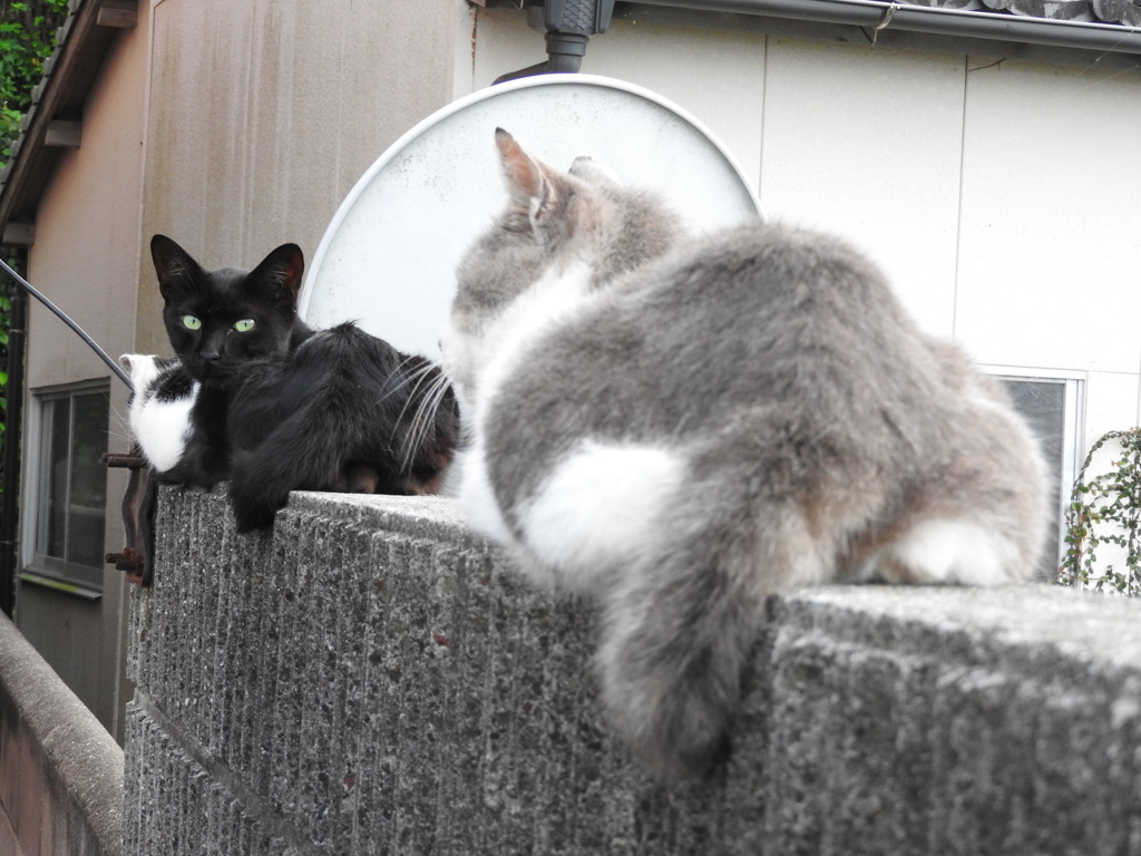 順番守って一列に並んでね♡