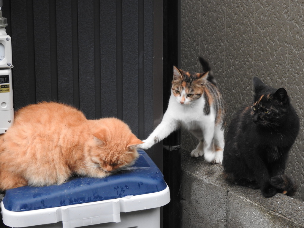 兄ちゃん・・・まだ寝てるのぉ～