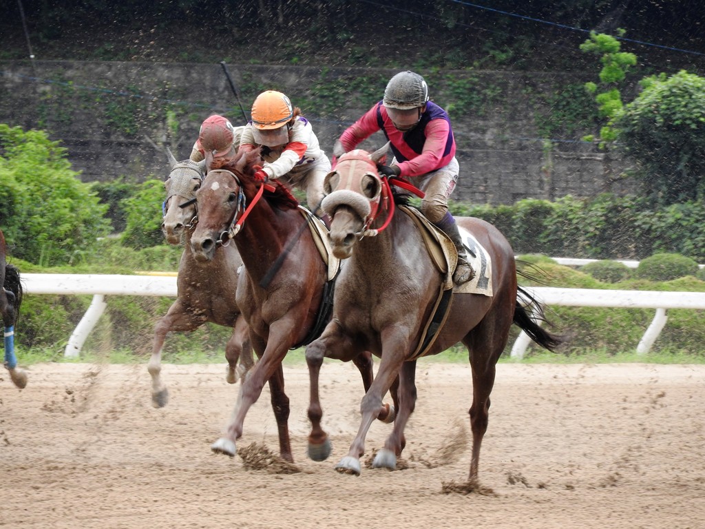 「初の競馬場へ」
