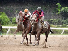「初の競馬場へ」
