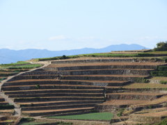 権田公園より～②