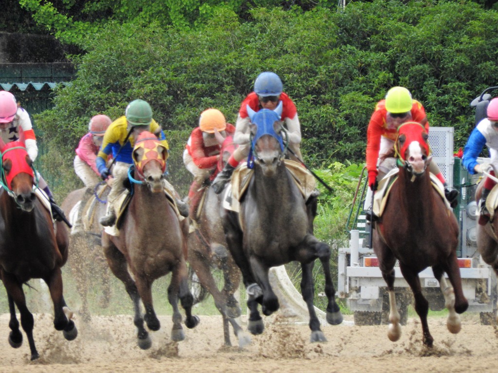 「佐賀競馬場」