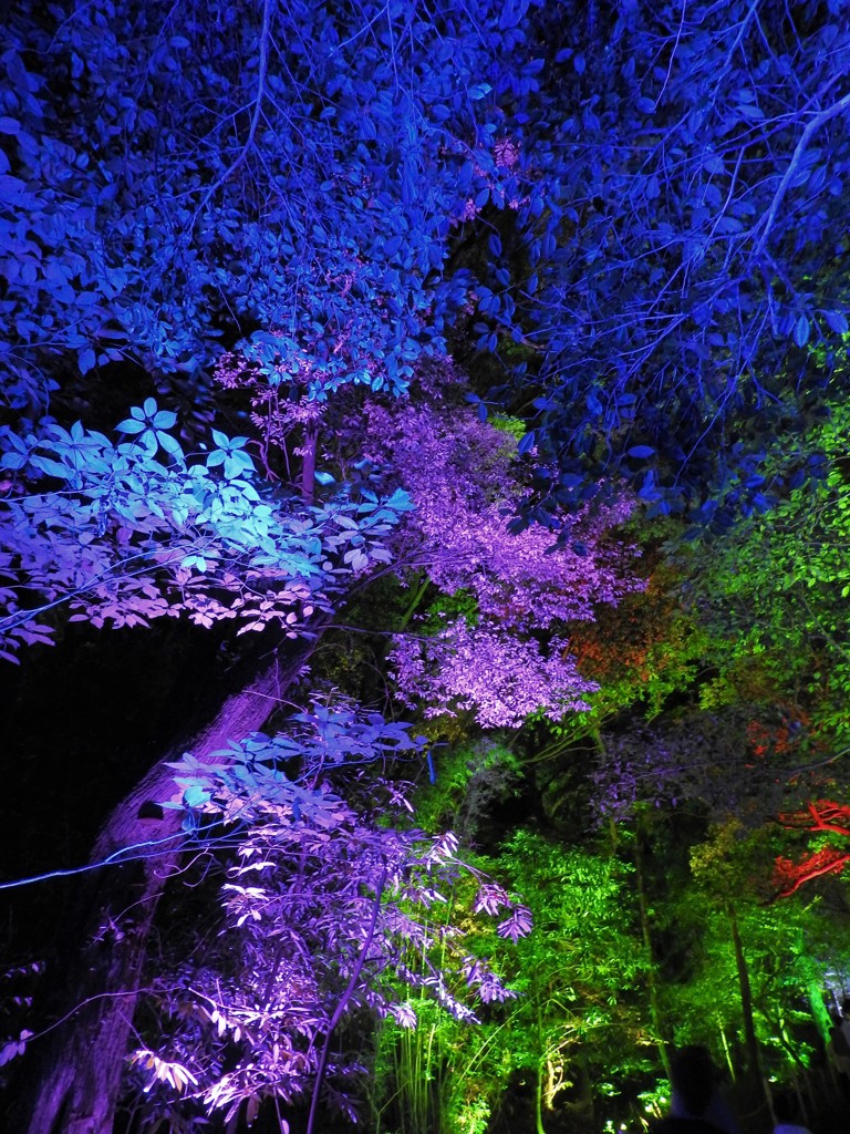 幻想②