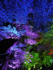 幻想②