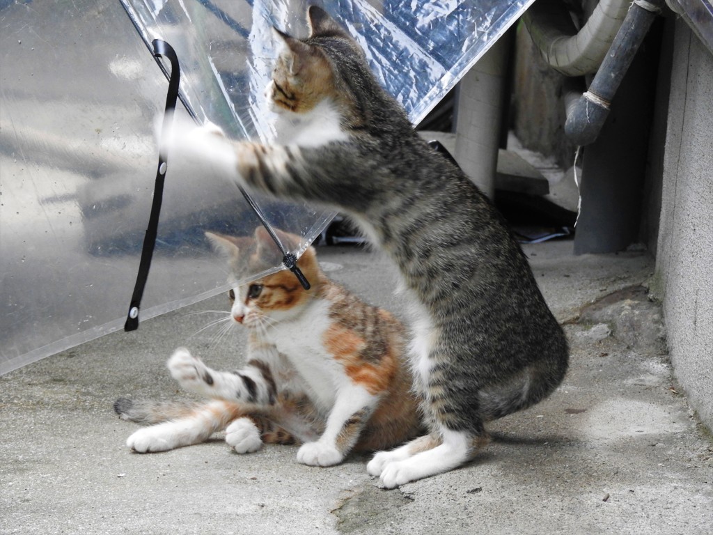 傘で遊ぶ～の巻