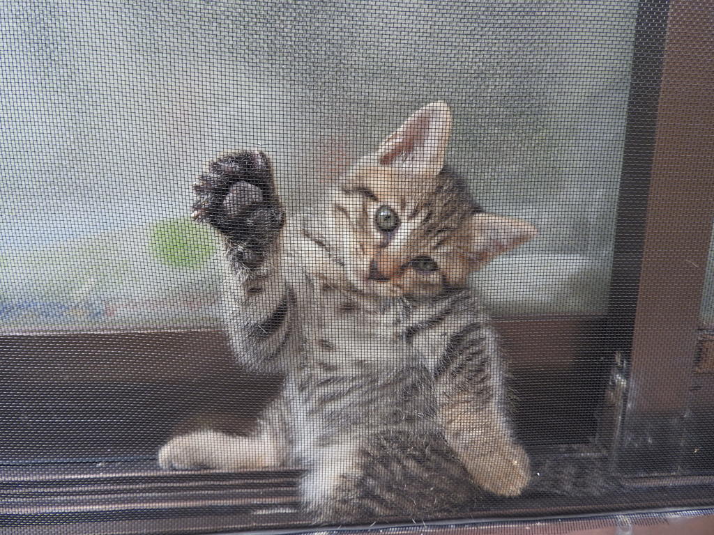 ちゅ…ちゅ…疲れたにゃあ～