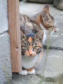 朝から・・・好きね
