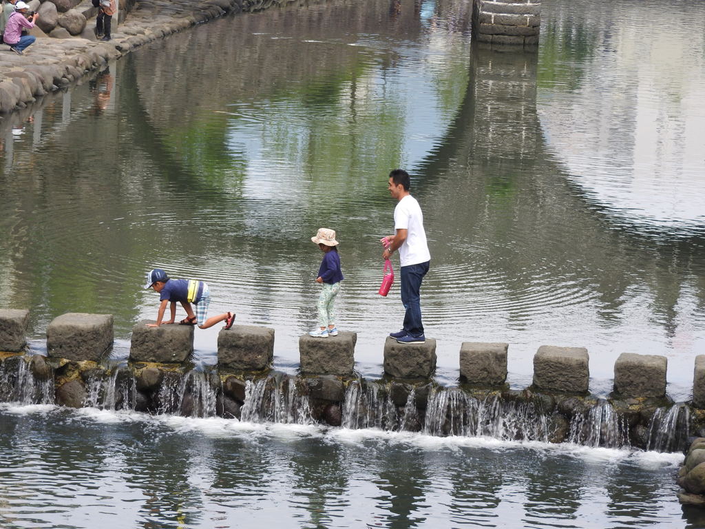 怖いよ～( ﾉД`)