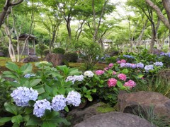 日本庭園