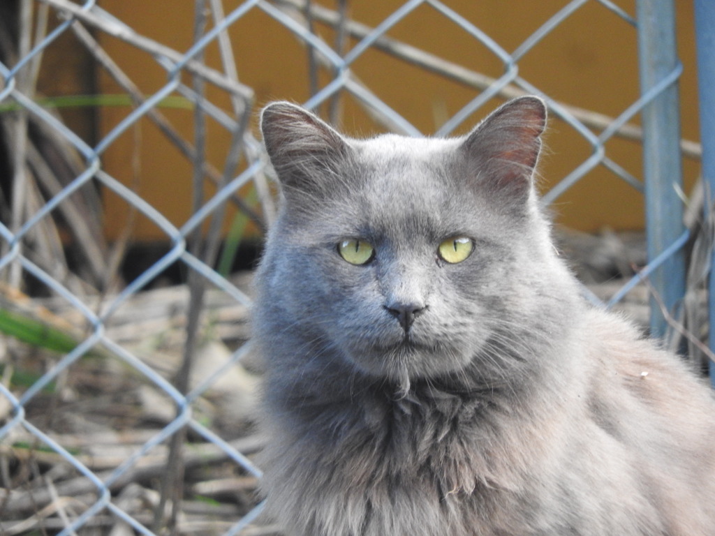 しょぼい水戸黄門さま