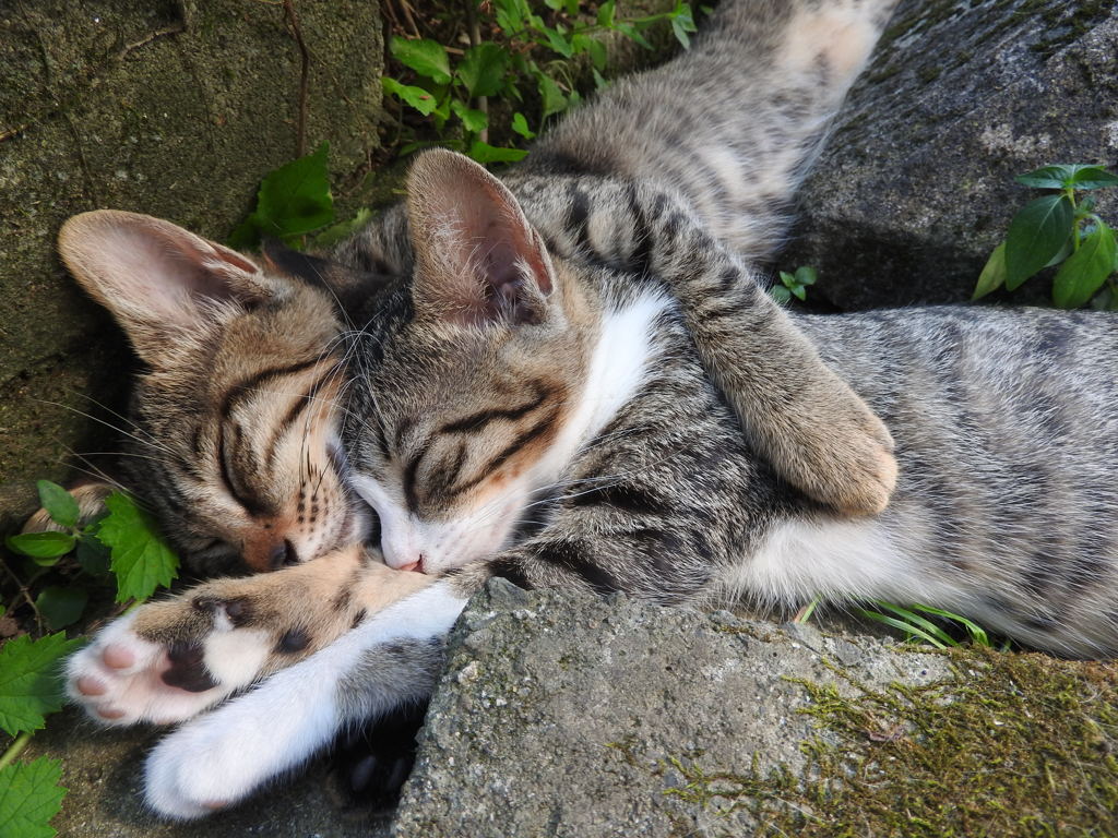 『やっぱり、仲良し♡』の巻