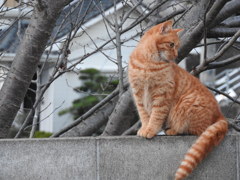 そろそろ、ご飯かな？