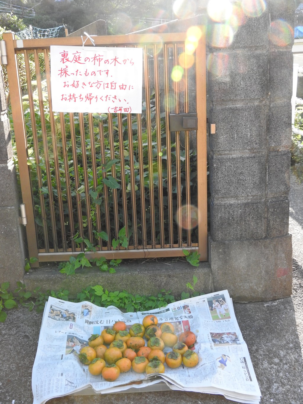 柿食えば鐘が鳴るなり～・・・