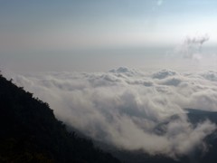 『雲海』