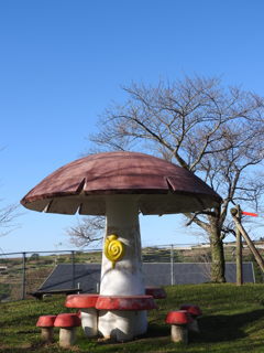 お茶にしよう♡