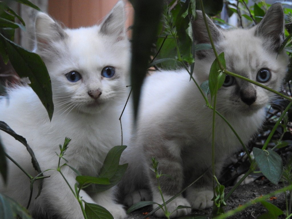 初めてのツーショット♡