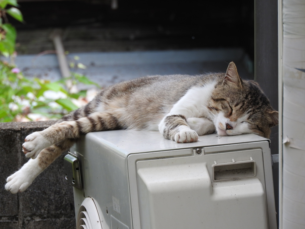 幸せ♡