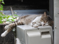 幸せ♡