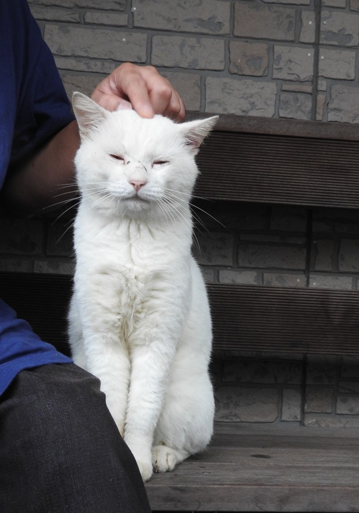 ボク・・・洗脳されちゃいました♡