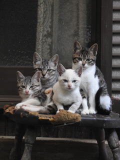 全員集合‼とは、いかない・・・