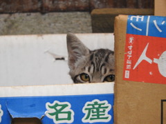 ・・・・誰？